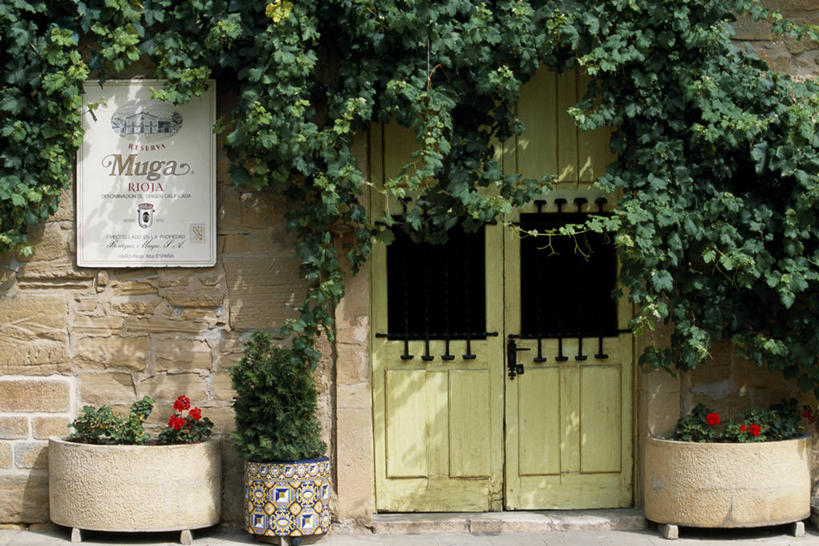 葡萄酒,无人,横图,花盆,西班牙,欧洲,瓷砖,门口,古典,藤蔓,摄影,藤蔓植物,彩图