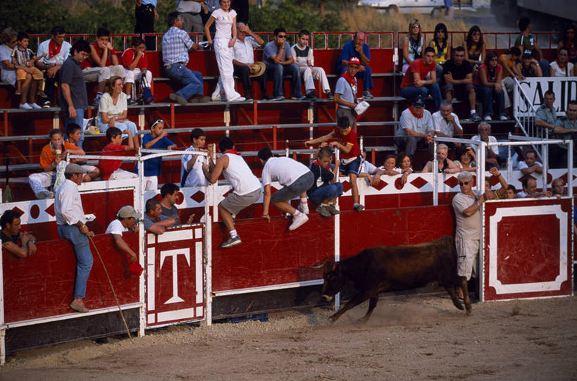 一个人,横图,锻炼,快乐,比赛,运动,竞争,斗牛,西班牙,欧洲,娱乐,体育场,斗牛场,休闲,摄影,活动,体育运动,挑战,勇气,体育,彩图,健身,西班牙斗牛