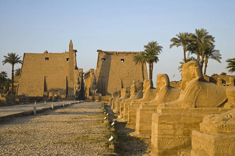 无人,横图,旅游,度假,建筑,宠物,猫,尼罗河,非洲,埃及,大门,废墟,动物,热气球,可爱,摄影,宗教,考古学,中东,猫咪,北非,鲁克索神殿,埃及文化,斯芬克斯,古埃及文明,古代文明,加拿大无毛猫,无毛猫,彩图,旅行,斯芬克斯猫,输电塔,埃及卢克索