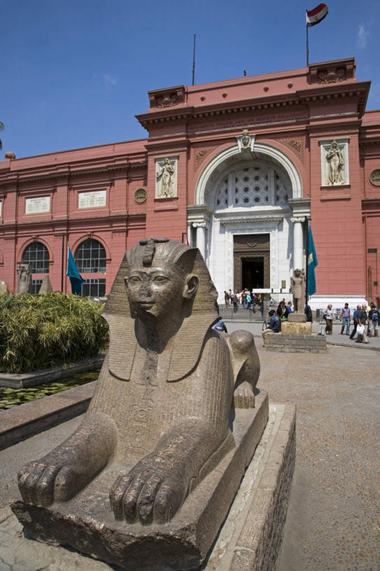 博物馆,竖图,室外,城市,建筑,宠物,猫,非洲,埃及,开罗,首都,动物,可爱,摄影,中东,法老,猫咪,北非,埃及文化,斯芬克斯,加拿大无毛猫,无毛猫,埃及开罗博物馆,彩图,斯芬克斯猫