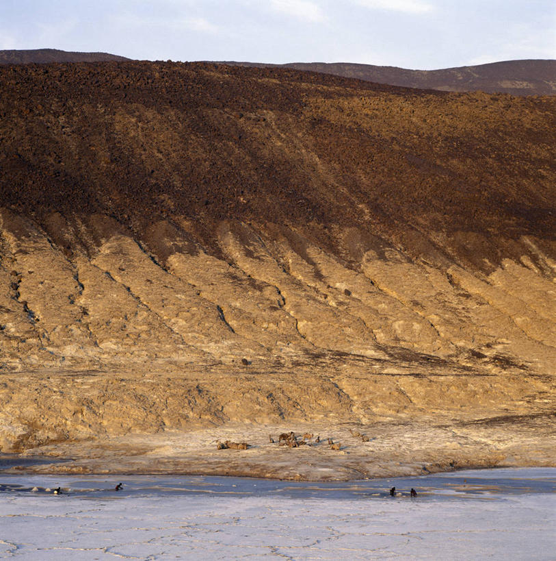 无人,竖图,室外,沙漠,山,山脉,火车,哺乳动物,野生动物,非洲,吉布提,阴影,地形,骆驼,动物,家畜,运输,摄影,驼峰,盐湖,跟随,盐滩,彩图,传统文化,游牧民族