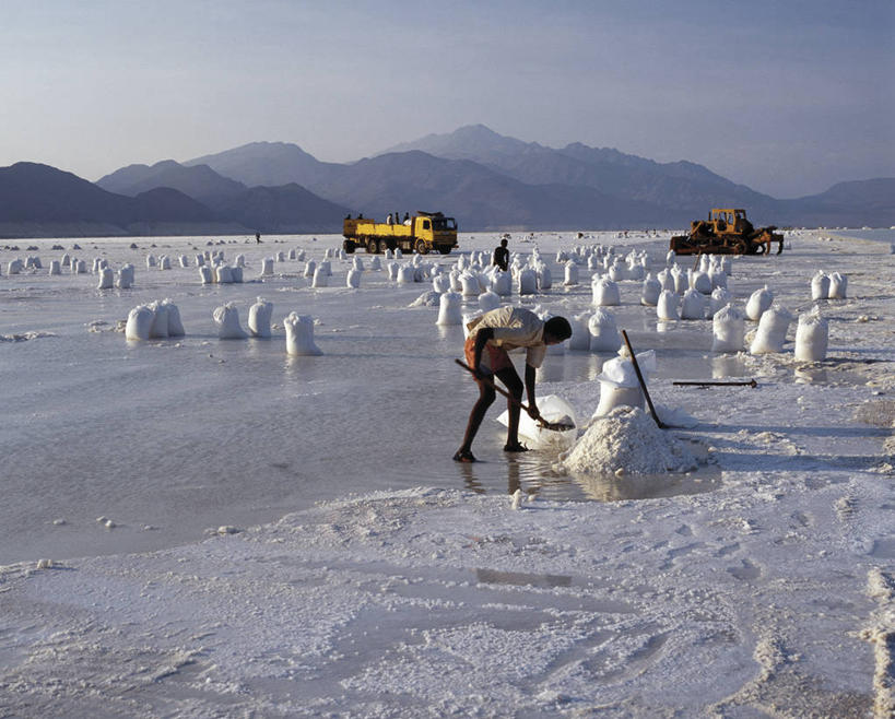 成年人,一个人,横图,采矿业,沙漠,山,非洲,吉布提,仅一个男性,盐,水晶,拖车,工业,运输,摄影,收获,挖掘,装货,推土机,盐矿,盐滩,男人,彩图