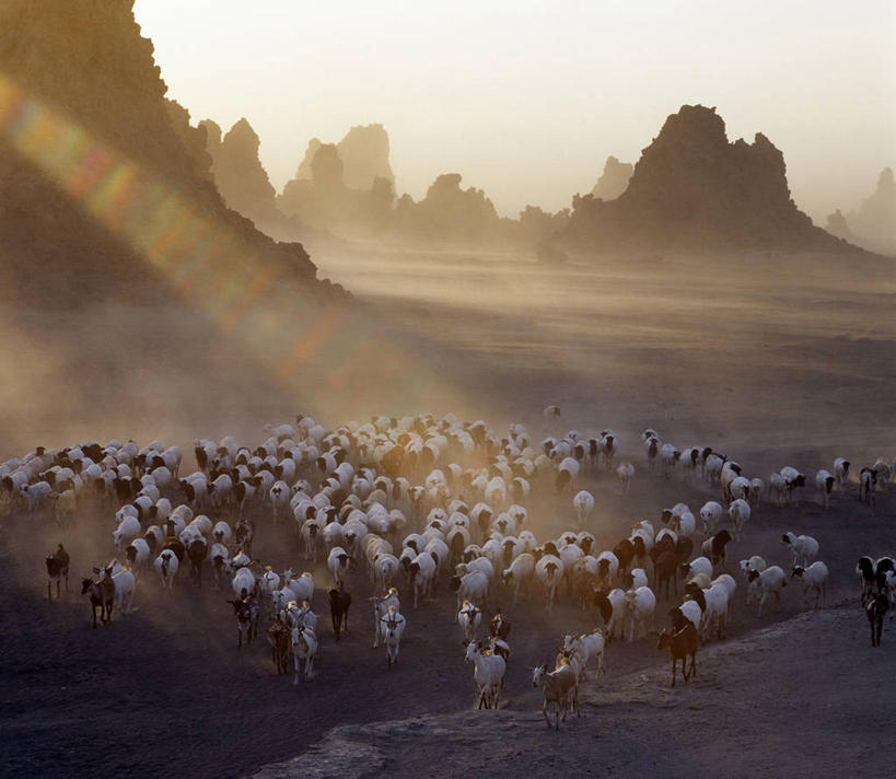 成年人,无人,横图,室外,旅游,度假,农业,火山,美景,沙漠,风,哺乳动物,野生动物,非洲,吉布提,地形,景观,娱乐,自然,动物,享受,休闲,家畜,景色,放松,摄影,牲畜,灰尘,自然风光,干的,女人,活火山,岩石,尘暴,山羊,彩图,游牧民族