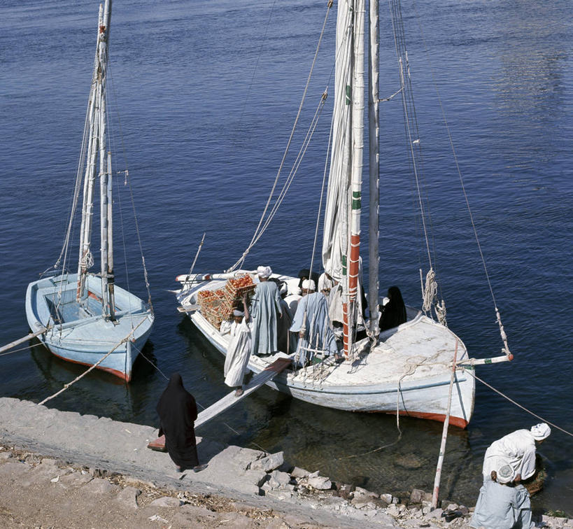 帆船,横图,室外,船,客轮,西红柿,尼罗河,埃及,交通工具,摄影,伊斯兰教,中东,清新,载具,三桅帆船,彩图