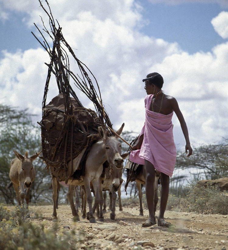 儿童,成年人,一个人,竖图,彩色,项链,珠宝,非洲,肯尼亚,珠子,压力,摄影,五颜六色,色彩斑斓,运送,肖像,带领,五彩缤纷,非洲文化,五彩斑斓,耳饰,驴子,五光十色,男孩,男人,步行,彩图,传统服装