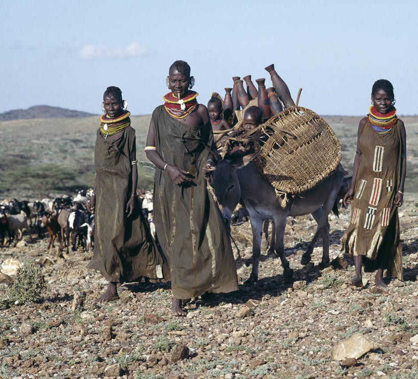 横图,珠宝,非洲,肯尼亚,珠子,压力,摄影,运送,非洲文化,驴子,彩图,传统服装,游牧民族
