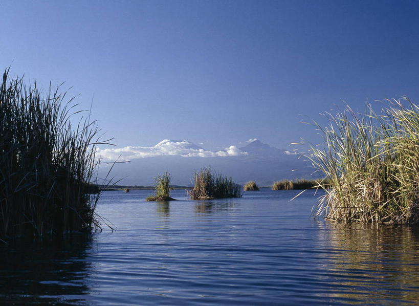 无人,横图,室外,湖,河流,山,山脉,雪山,芦苇,非洲,肯尼亚,自然,安静,摄影,宁静,乞力马扎罗山,彩图