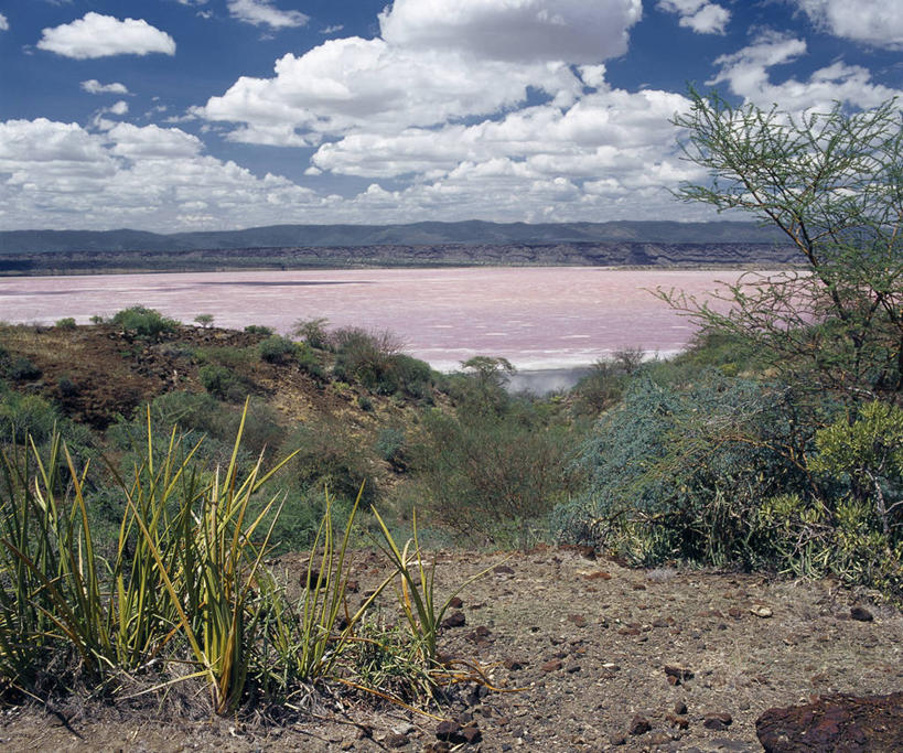 无人,横图,非洲,肯尼亚,摄影,干的,彩图