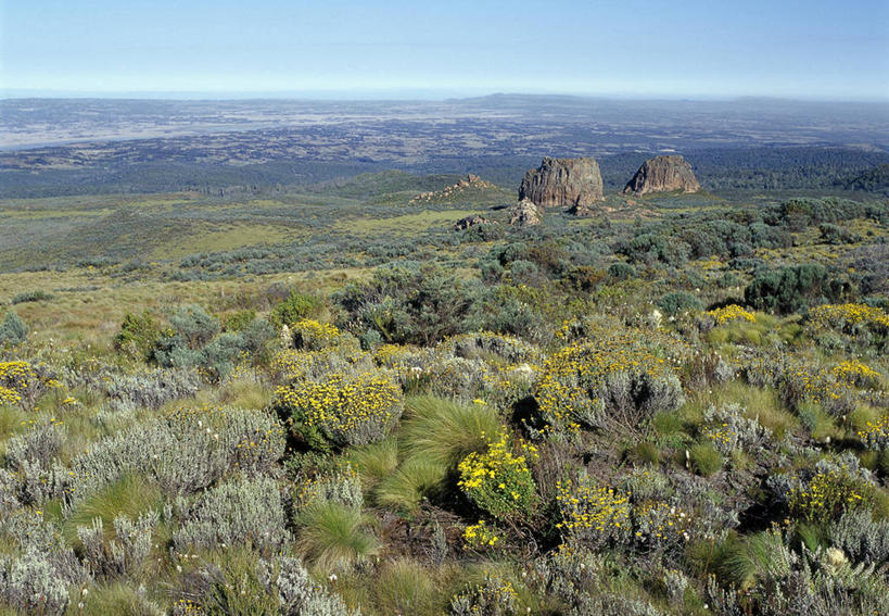 无人,横图,室外,瀑布,山,野生动物,非洲,肯尼亚,地形,旷野,自然,翻滚,摄影,国家公园,石南花,彩图