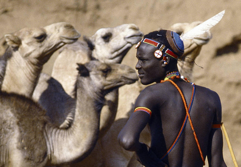 一个人,农场,横图,农业,哺乳动物,野生动物,非洲,肯尼亚,束发带,骆驼,动物,家畜,运输,摄影,观看,驼峰,非洲文化,牧人,双峰骆驼,彩图,传统服装,传统文化