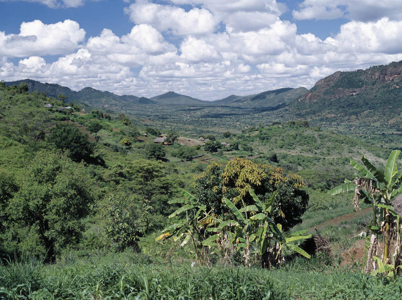 无人,农场,横图,室外,农业,梯田,森林,山,非洲,肯尼亚,地形,田地,香蕉树,绿色,摄影,彩图