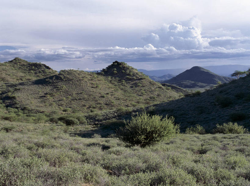 无人,横图,室外,山,雨,暴风雨,非洲,肯尼亚,地形,乌云,绿色,摄影,金合欢树,彩图