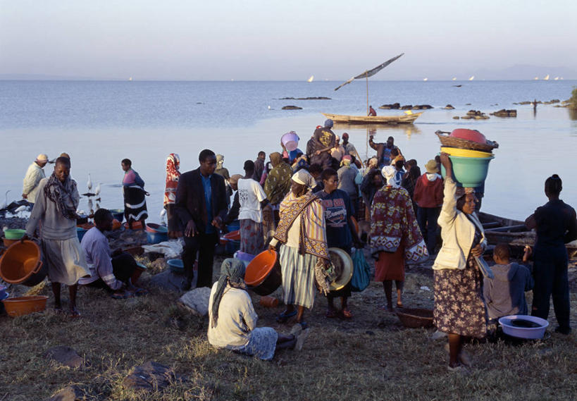 成年人,人群,横图,室外,消费,渔业,生产线,白鹭,非洲,肯尼亚,小贩,商品,市场,鱼类,帆,摄影,水禽,购买,清新,独木舟,忙碌,贩卖,贸易,维多利亚湖,小白鹭,女人,彩图,钓鱼,鱼市,基苏木,尼扬扎省