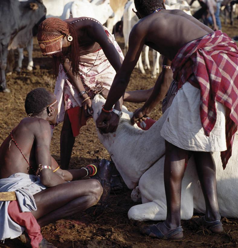 成年人,竖图,项链,珠宝,非洲,肯尼亚,装饰,珠子,食品,黄色,血液,人体,摄影,手镯,发辫,麻花辫,非洲文化,颈内静脉,男人,男性,长发,野牛,彩图,传统服装,传统文化
