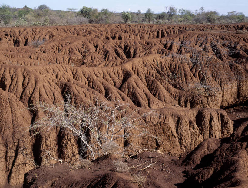 无人,横图,非洲,肯尼亚,泥土,摄影,干的,红土,彩图