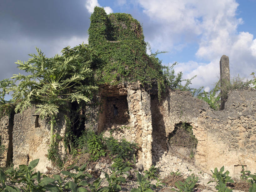 无人,横图,非洲,肯尼亚,破碎,珊瑚,破坏,馅饼,破损,摄影,粉碎,损坏,毁坏,法式食品,摧毁,烟草,彩图