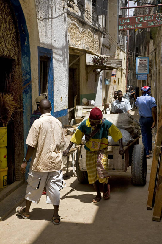 拉,竖图,街道,非洲,肯尼亚,木制,推车,城镇,地标建筑,社区,摄影,装货,阿伦岛,彩图,联合国教科文组织