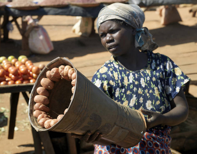 成年人,一个人,横图,蔬菜,非洲,马拉维,仅一个女性,小贩,食品,市场,社区,摄影,销售,贩卖,女人,马铃薯,彩图,传统文化
