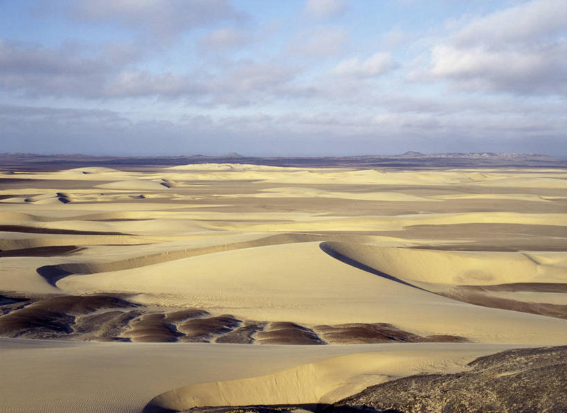 健壮,无人,横图,阶调图片,室外,沙漠,非洲,纳米比亚,阴影,沙子,地平线,地形,沙丘,风景,摄影,干的,永远,纳米比亚共和国,大漠,砂漠,彩图