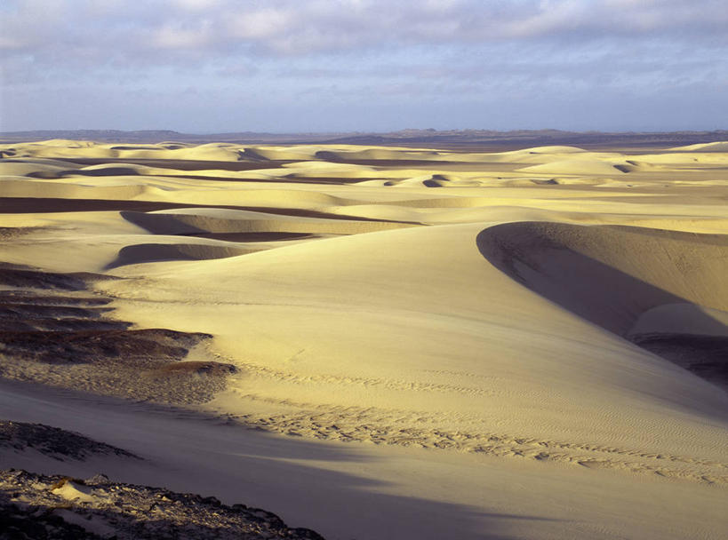 健壮,无人,横图,阶调图片,室外,沙漠,非洲,纳米比亚,阴影,沙子,地平线,地形,沙丘,风景,摄影,干的,永远,纳米比亚共和国,大漠,砂漠,彩图