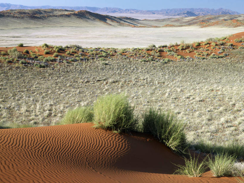 无人,横图,山,山脉,风,纳米比亚,沙子,草丛,地形,沙丘,热,摄影,考古学,滨草,纳米布沙漠,彩图