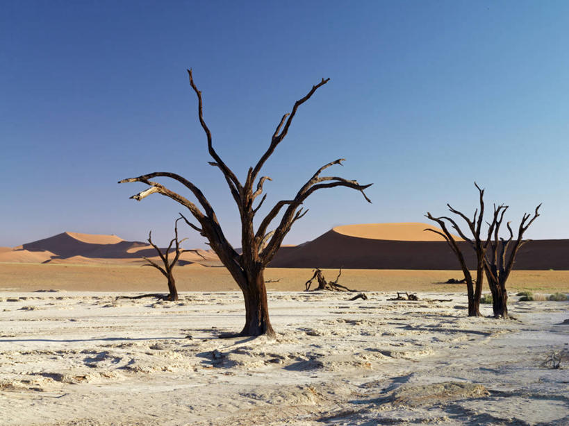 无人,横图,室外,沙漠,纳米比亚,沙子,沙丘,摄影,骨架,气候,干的,纳米布沙漠,开端,彩图