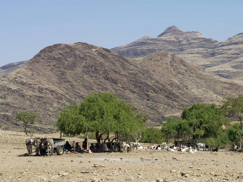 无人,横图,室外,山,非洲,纳米比亚,摄影,牲畜,驴车,驴子,山羊,彩图,传统文化,赫雷罗族,游牧民族