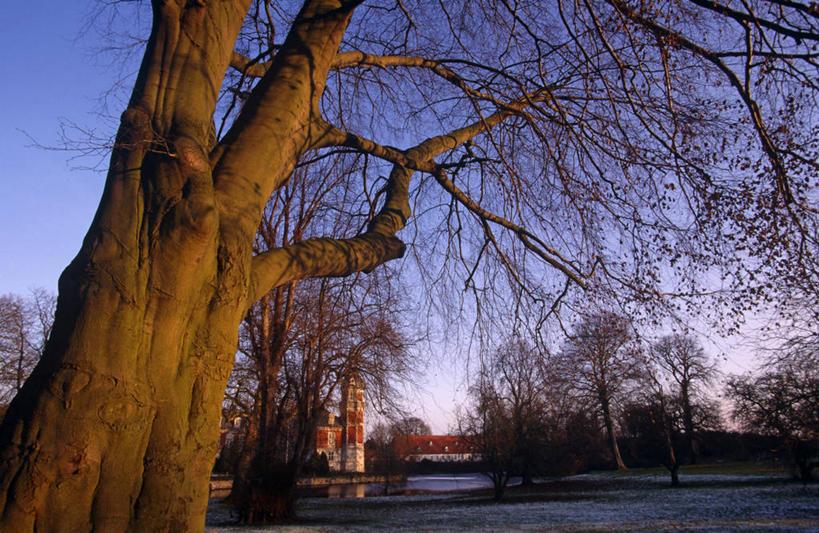 无人,横图,室外,旅游,度假,雪,建筑,酒店,丹麦,欧洲,城堡,房屋,岛,冬天,历史,树,摄影,斯堪的纳维亚,豪宅,斯堪狄纳维亚半岛,菲英岛,休闲活动,彩图,旅行