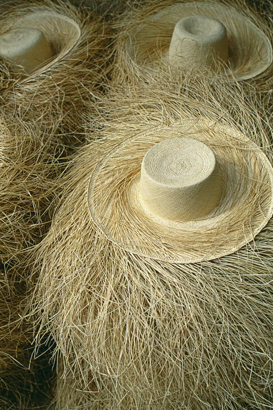 无人,竖图,时尚,帽子,厄瓜多尔,装饰,草帽,稻草,织物,纺织,南美,工业,摄影,拉丁美洲,手艺,式样,技能,美术工艺,阿苏艾省,彩图,巴拿马草帽,传统文化,机织物