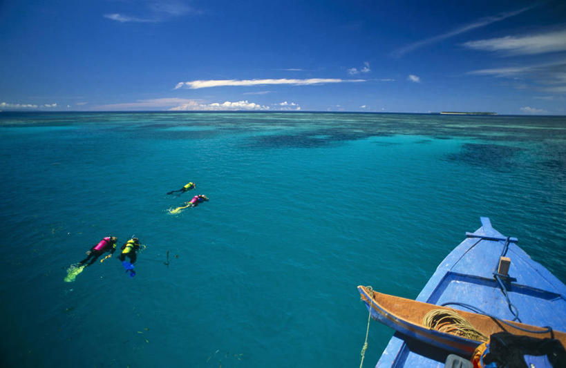 跳水,横图,度假,探险,水下,海洋,水,船,印度尼西亚,亚洲,珊瑚,岛,热,探索,潜水,摄影,活动,热带气候,政府,浮潜,水中呼吸器,珊瑚岛,冒险,暗礁,群岛,彩图,水肺潜水