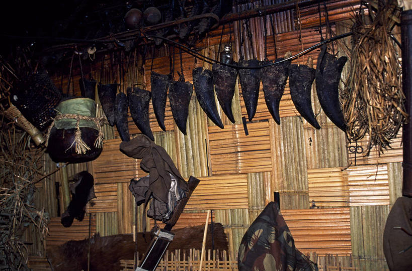 无人,横图,室内,农业,印度,亚洲,装饰,房屋,动物,平原,家畜,摄影,种族,典礼,彩图,传统文化