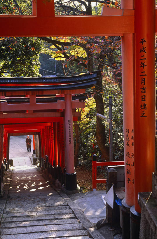 东方人,竖图,彩色,运动模糊,旅游,门,建筑,京都,日本,亚洲,行人,游客,游人,开,节日,日本文化,柱子,大门,鸟居,小路,日本料理,历史,文化,路人,旅客,台阶,红色,祈祷,健康,许愿,摄影,宗教,信仰,京都府,纪念,五颜六色,神道,祈求,色彩斑斓,神殿,五彩缤纷,东亚,本州,本州岛,日本国,近畿地方,近畿,神道教,五彩斑斓,五光十色,腐皮卷,过客,伏见稻荷大社,伏见区,平安,彩图,神,传统文化