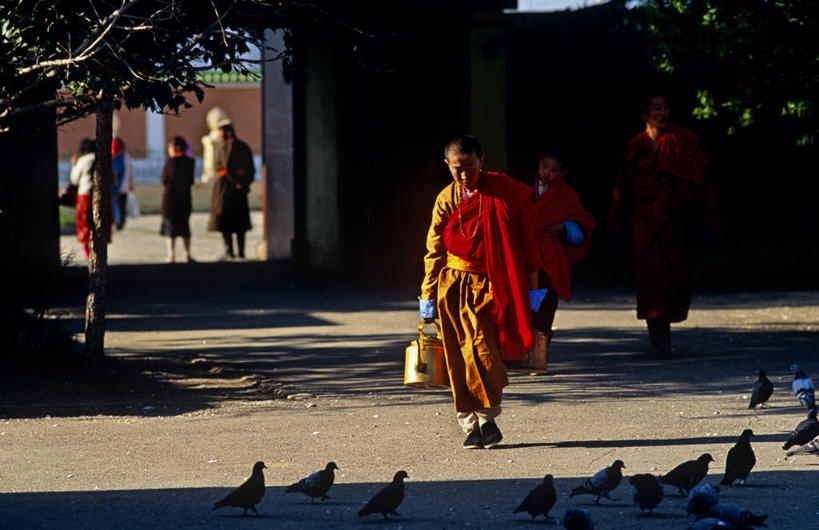 成年人,横图,彩色,旅游,热情,书房,野生动物,蒙古,亚洲,行人,游客,游人,阴影,鸟类,长袍,壶,首都,骆驼,路人,旅客,动物,可爱,摄影,宗教,佛教,活泼,五颜六色,色彩斑斓,早晨,运送,中国文化,修道院,羊驼,五彩缤纷,沙漠之舟,五彩斑斓,驼羊,乌兰巴托,美洲驼,甘丹寺,五光十色,过客,男人,男性,彩图,传统文化