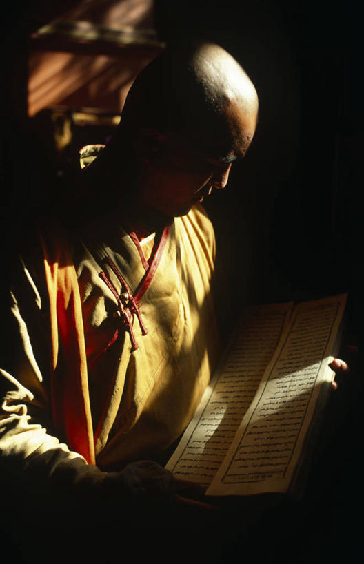 成年人,一个人,竖图,智慧,神秘,野生动物,蒙古,亚洲,仅一个男性,学习,文字,光,首都,教育,骆驼,动物,祈祷,思考,幻想,可爱,读书,摄影,宗教,佛教,活泼,专心,知识,早晨,中国文化,修道院,羊驼,消息,典礼,沙漠之舟,驼羊,乌兰巴托,美洲驼,灵性,甘丹寺,男人,彩图,爱,传统文化