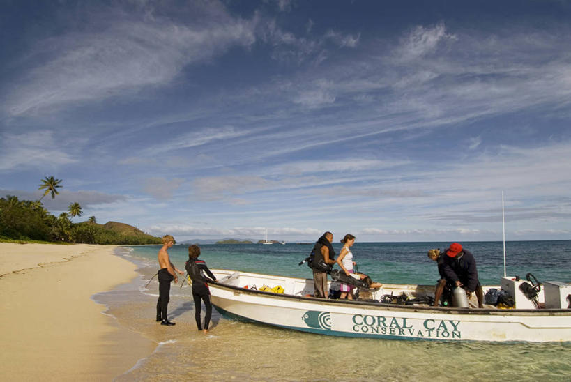 同事,横图,室外,度假,探险,成功,合作,团队,集体,信心,建筑业,海洋,船,棕榈树,斐济,岛,海岸线,队伍,车队,潜水,摄影,协助,领导,热带气候,成就,合伙,领袖,环境保护,志愿者,南太平洋,水中呼吸器,海滩,休闲活动,彩图,水肺潜水