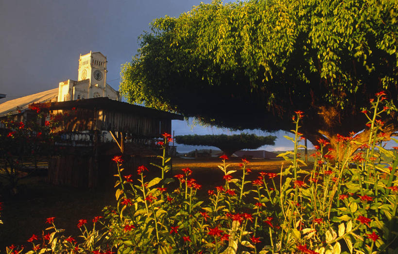 无人,教堂,横图,度假,建筑,汤加,节日,岛,城镇,热,文化,风景,祈祷,健康,许愿,摄影,宗教,信仰,纪念,祈求,热带气候,基督教,宗教建筑,天主教,南太平洋,太平洋岛屿,平安,群岛,彩图,旅行,柱头