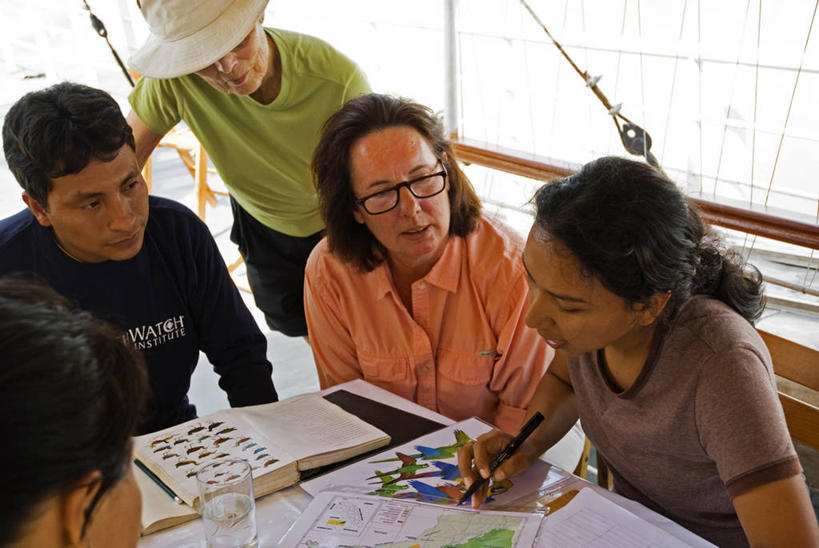 同事,科学家,横图,室外,探险,成功,合作,团队,集体,信心,建筑业,河流,船,亚马逊河,秘鲁,学习,科学,图表,教育,队伍,车队,表,南美,摄影,专心,领导,知识,拉丁美洲,成就,合伙,领袖,志愿者,书,彩图