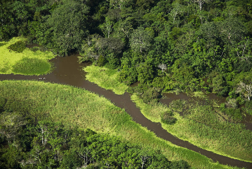 无人,码头,横图,俯视,航拍,室外,河流,森林,水,植物,亚马逊河,秘鲁,地形,树,风景,小溪,自然,南美,摄影,流动,环境,拉丁美洲,鸟瞰,热带雨林,伊基托斯,彩图,高角度拍摄,雨林