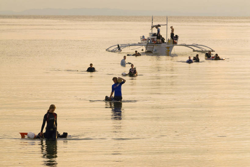 跳水,同事,横图,探险,成功,运动,合作,团队,集体,信心,海洋,水,船,菲律宾,涉水,队伍,黄昏,车队,潜水,摄影,生活方式,宁静,环境,领导,成就,合伙,领袖,环境保护,志愿者,水中呼吸器,冒险,彩图