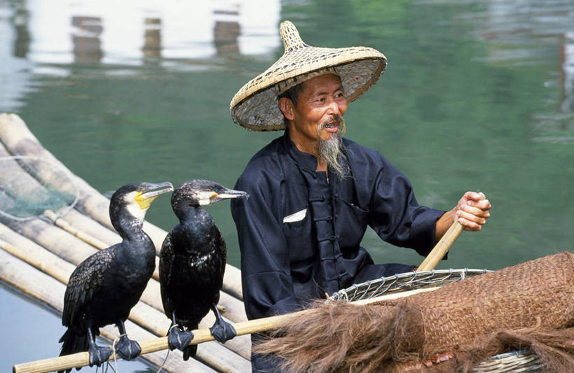成年人,胡须,一个人,渔夫,微笑,横图,室外,快乐,河流,水,帽子,亚洲,仅一个男性,漂浮,反射,木制,鸟类,职业,摄影,横梁,广西,漓江,横杆,男人,胡子,络腮胡,彩图,钓鱼