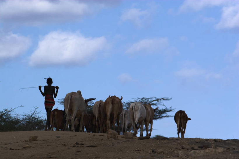 儿童,横图,非洲,埃塞俄比亚,摄影,奥莫低谷,男性,彩图,传统文化