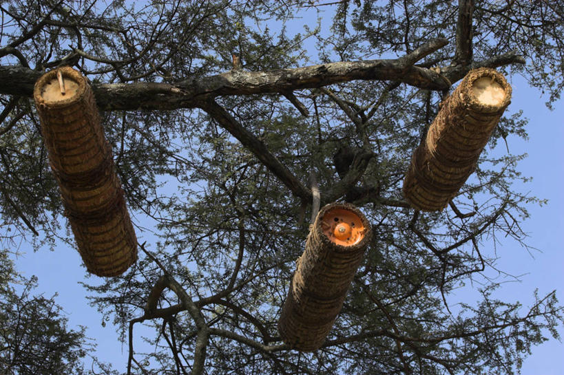 无人,横图,非洲,埃塞俄比亚,摄影,彩图