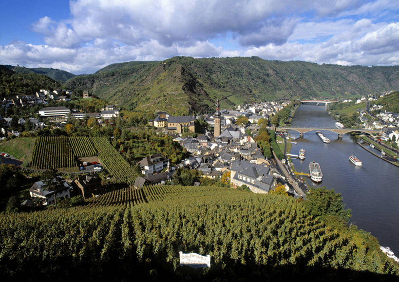 无人,横图,室外,德国,欧洲,葡萄园,摄影,西欧,德意志联邦共和国,莱茵兰.普法尔茨州,彩图