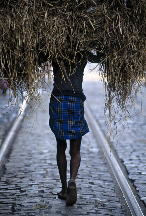 成年人,一个人,竖图,孟加拉国,印度,亚洲,仅一个男性,摄影,运送,南亚,装货,孟加拉人民共和国,加尔各答,男人,彩图