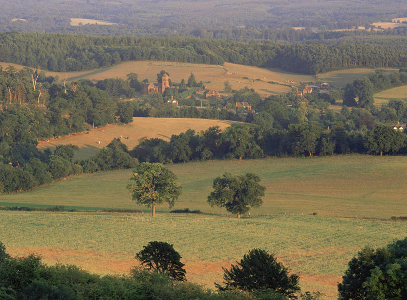 无人,横图,室外,山,英国,欧洲,地形,田地,乡村,英格兰,树,摄影,西欧,英国文化,萨里市,彩图