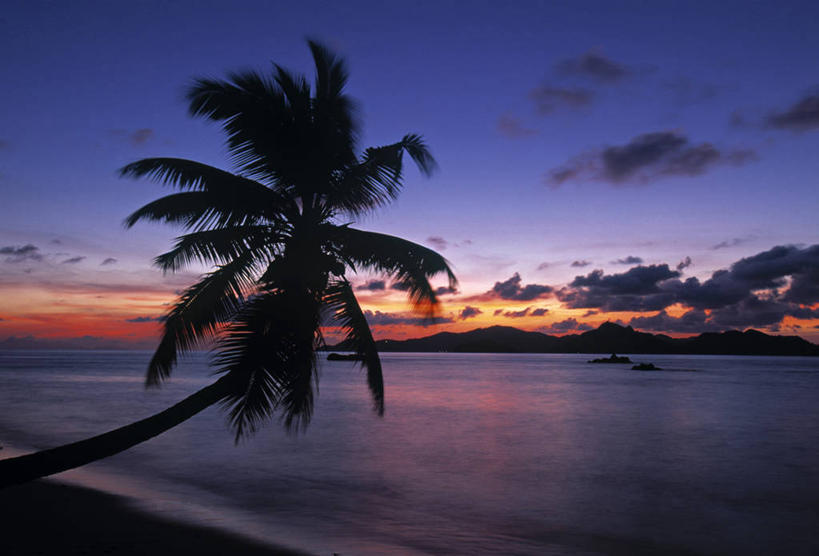 无人,横图,室外,日落,棕榈树,塞舌尔,岛,摄影,热带气候,印度洋,拉迪戈岛,海滩,彩图
