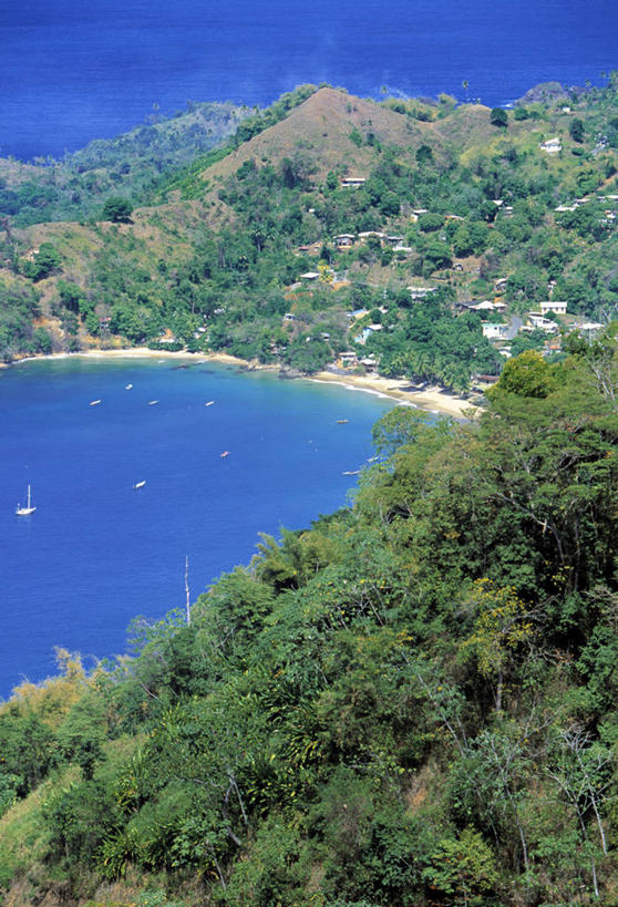 无人,竖图,室外,岛,摄影,多巴哥岛,海滩,彩图