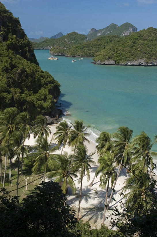 无人,竖图,俯视,室外,海洋,棕榈树,泰国,亚洲,沙子,岛,南海,摄影,东南亚,热带气候,苏梅岛,泰国湾,海滩,彩图,高角度拍摄