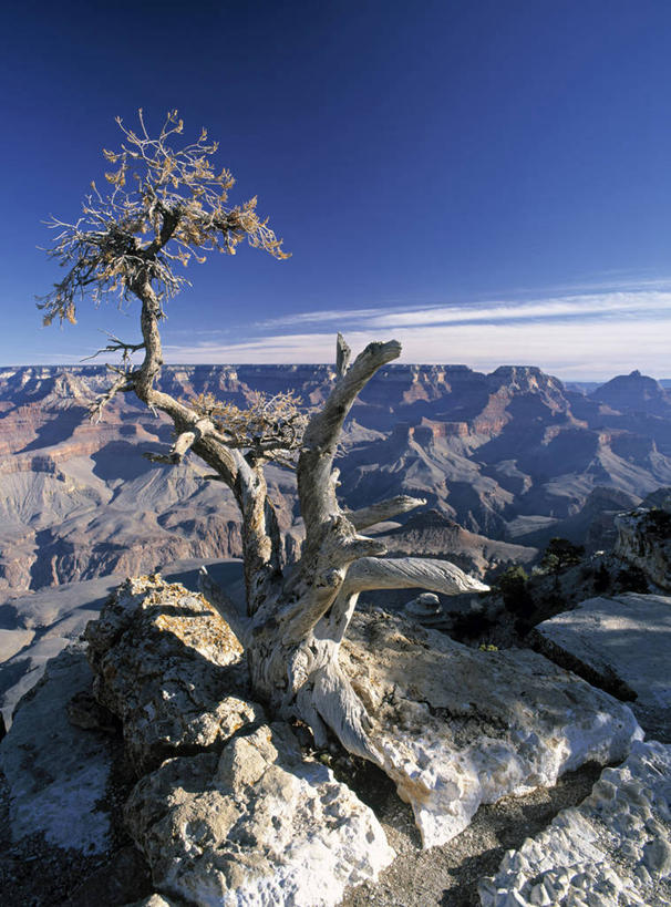 无人,竖图,室外,美国,地形,大峡谷,摄影,亚利桑那,北美,大峡谷国家公园,彩图