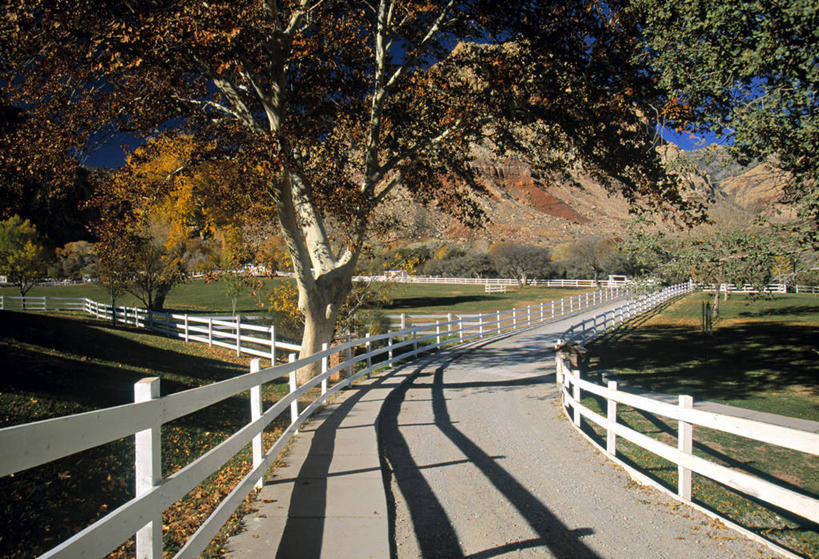 无人,栏杆,横图,路,美国,围栏,护栏,摄影,北美,内华达州,彩图